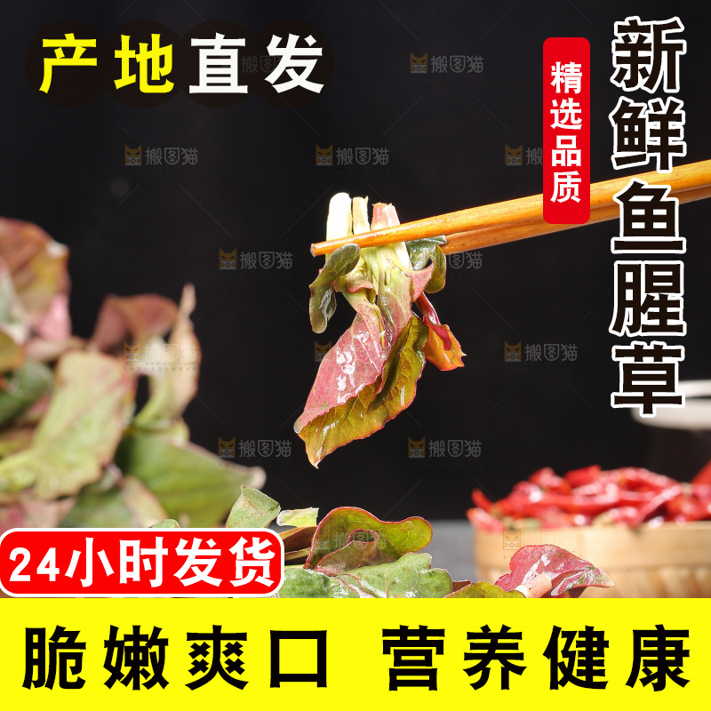 深底上的鱼腥草叶