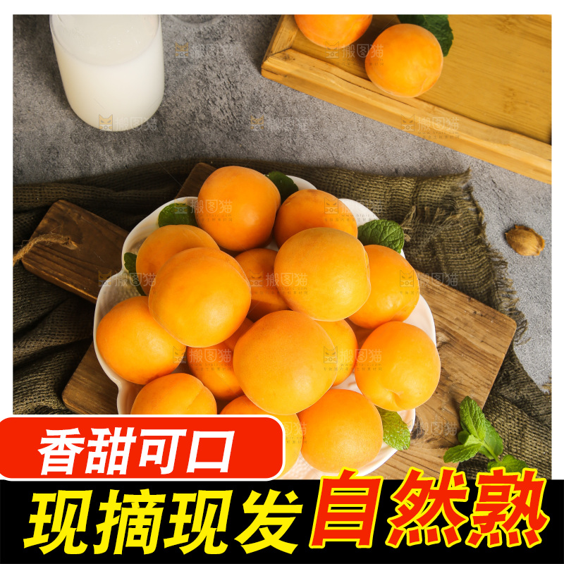 深底上的大黄杏