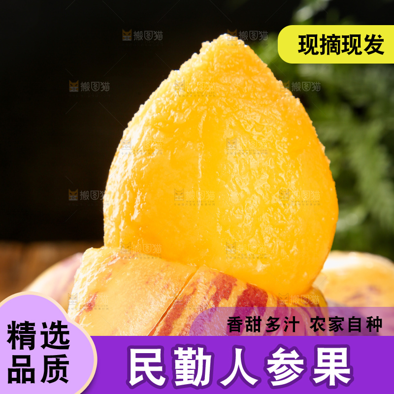 深底上的民勤人参果