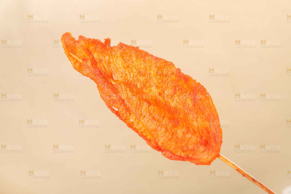 浅底上的里脊肉