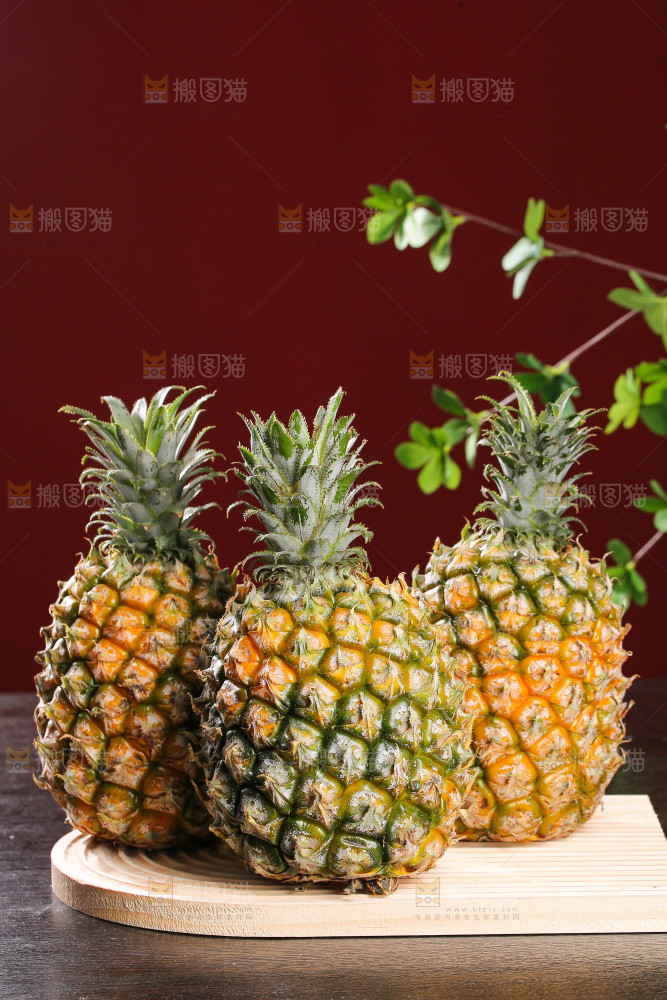 深底上的徐闻菠萝