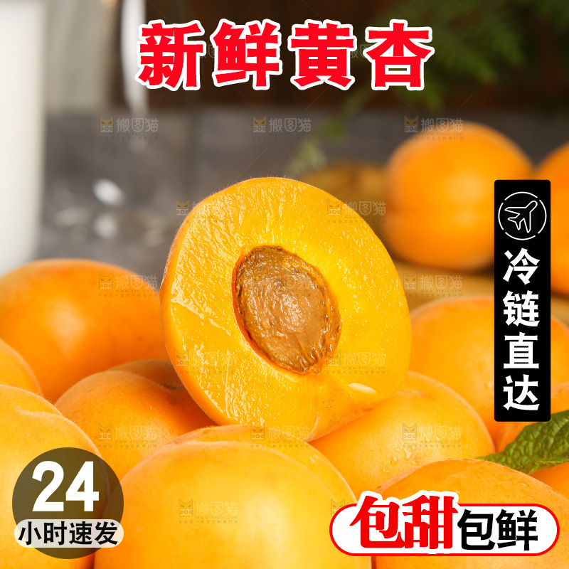 深底上的大黄杏