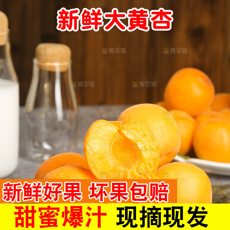 深底上的大黄杏