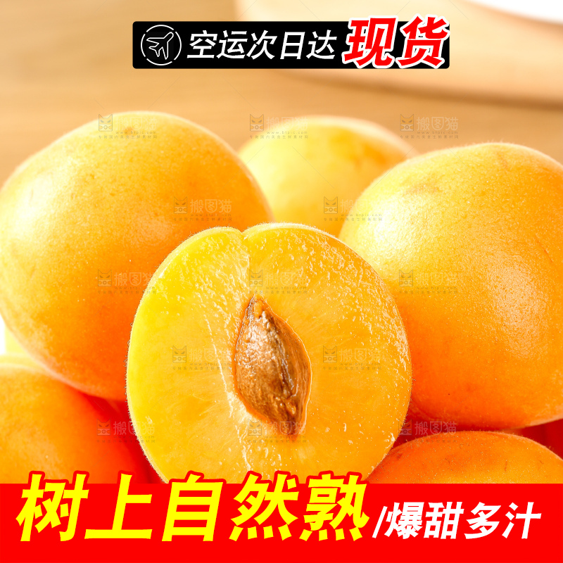 浅底上的大黄杏