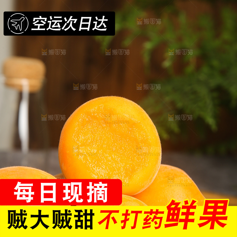 深底上的大黄杏