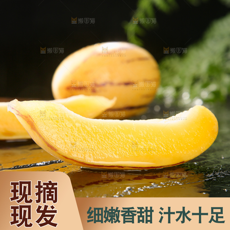 深底上的民勤人参果