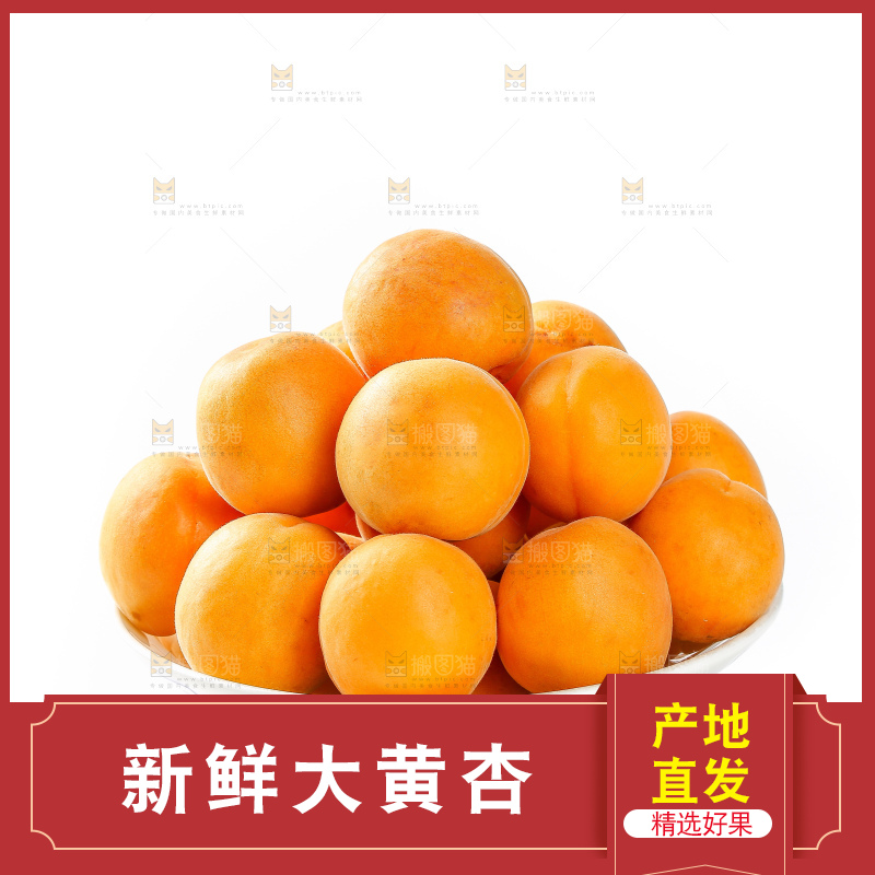白底上的大黄杏