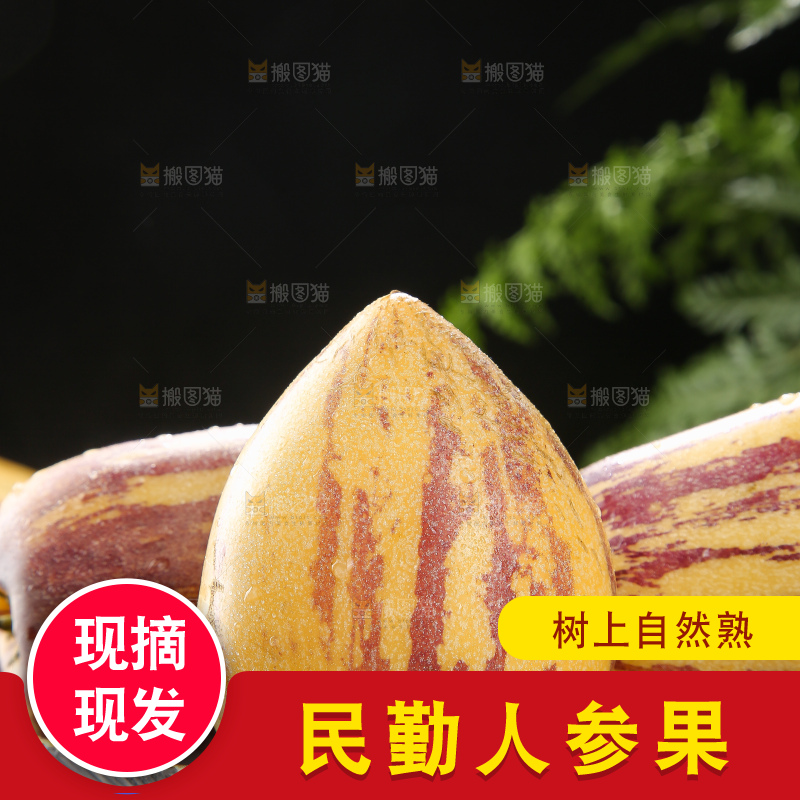深底上的民勤人参果