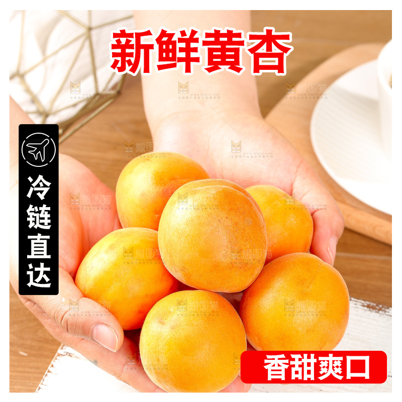 浅底上的大黄杏