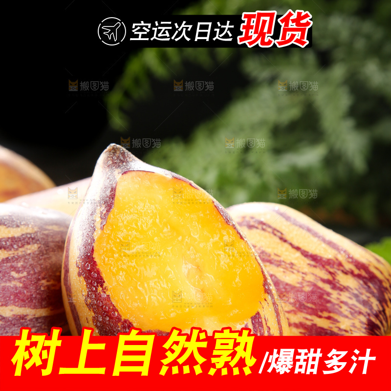 深底上的民勤人参果