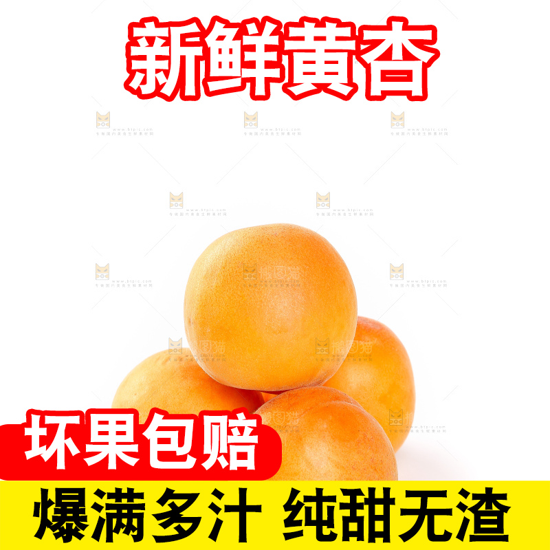 白底上的大黄杏