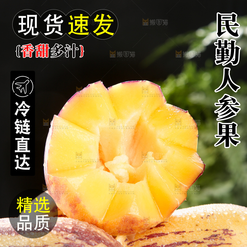 深底上的民勤人参果