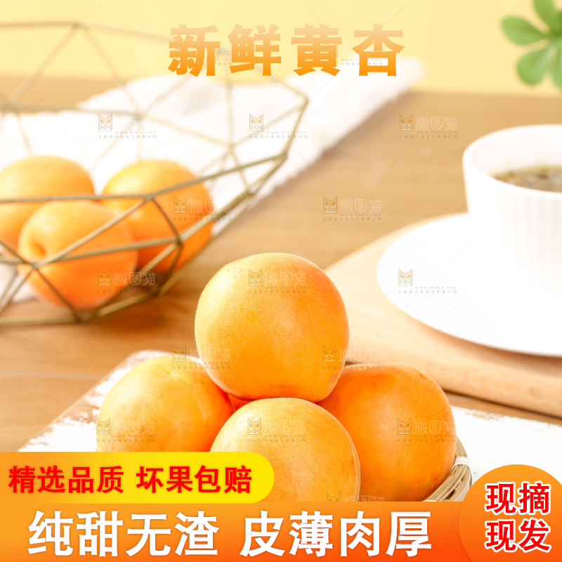 浅底上的大黄杏