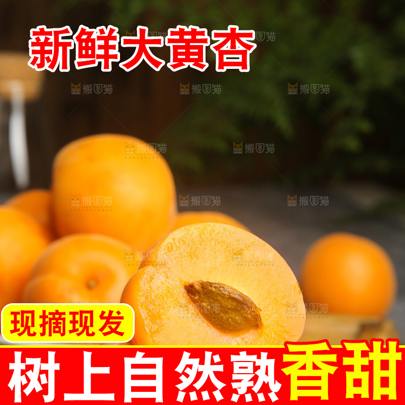 深底上的大黄杏