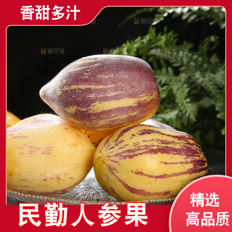 深底上的民勤人参果