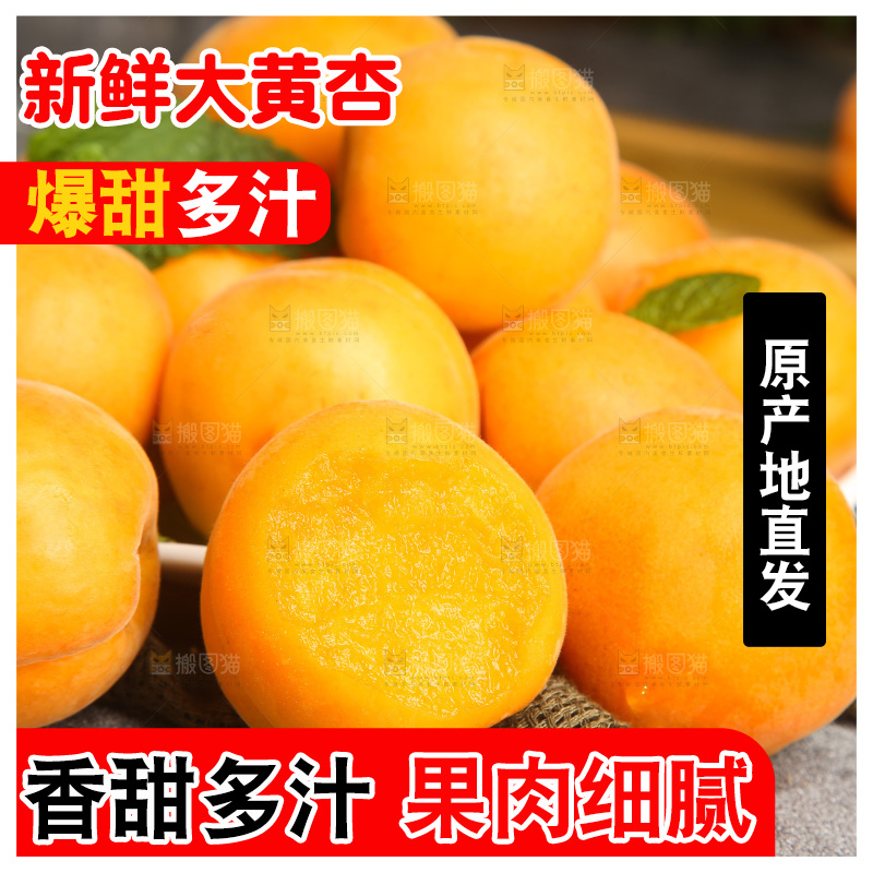 深底上的大黄杏