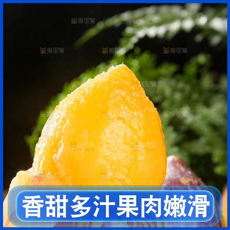 深底上的民勤人参果