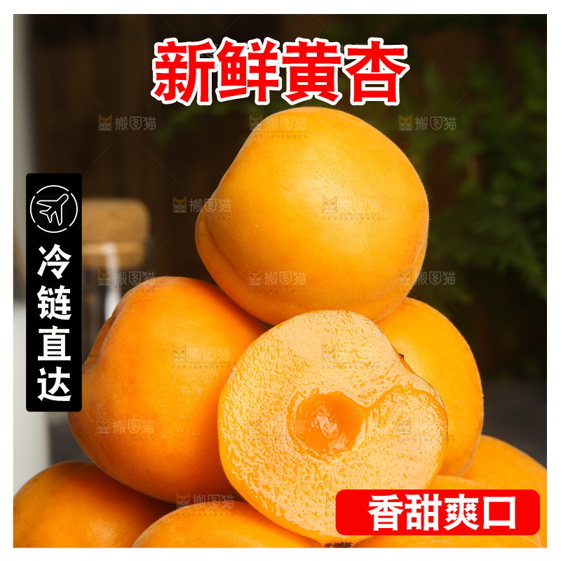 深底上的大黄杏