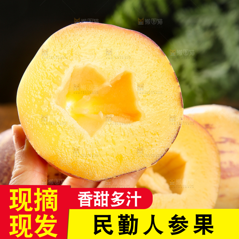 深底上的民勤人参果
