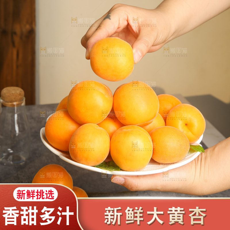 深底上的大黄杏