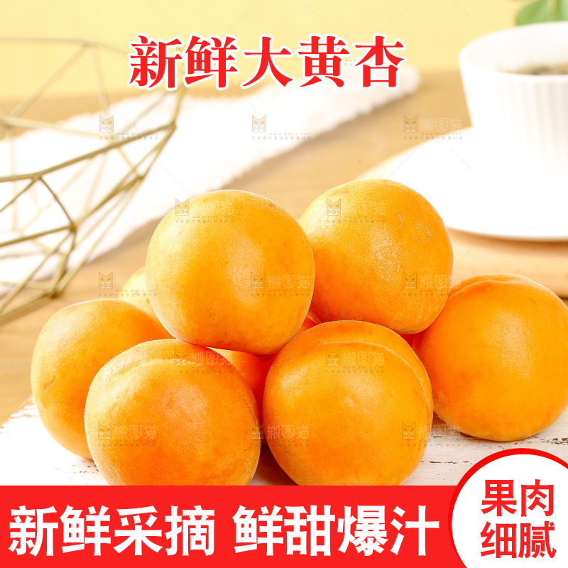 浅底上的大黄杏