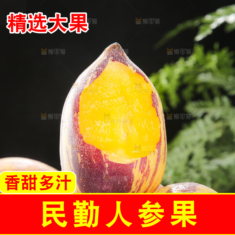 深底上的民勤人参果