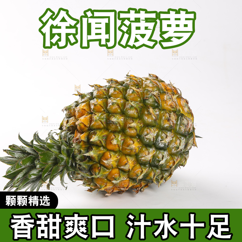 白底上的徐闻菠萝