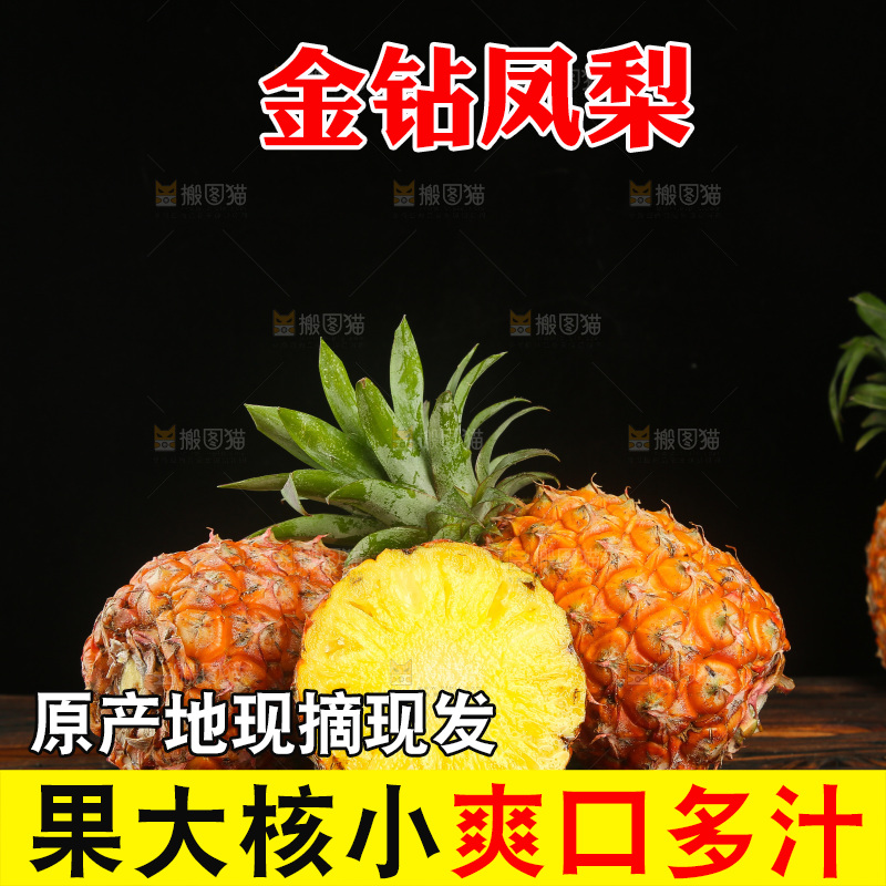 深底上的金钻凤梨