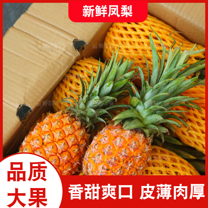 深底上的金钻凤梨