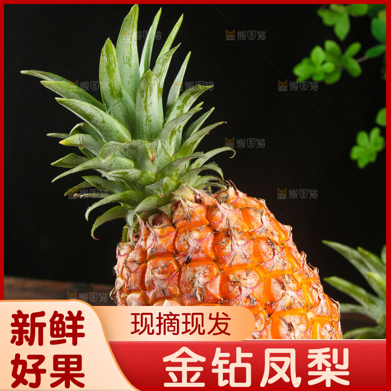 深底上的金钻凤梨
