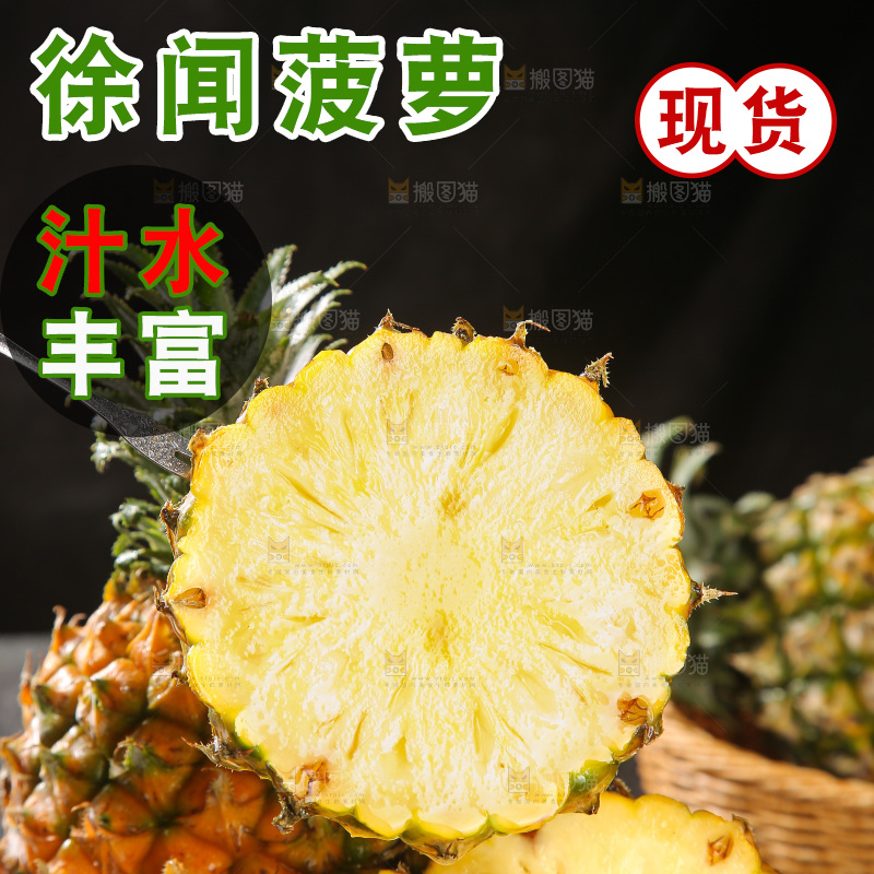 深底上的徐闻菠萝