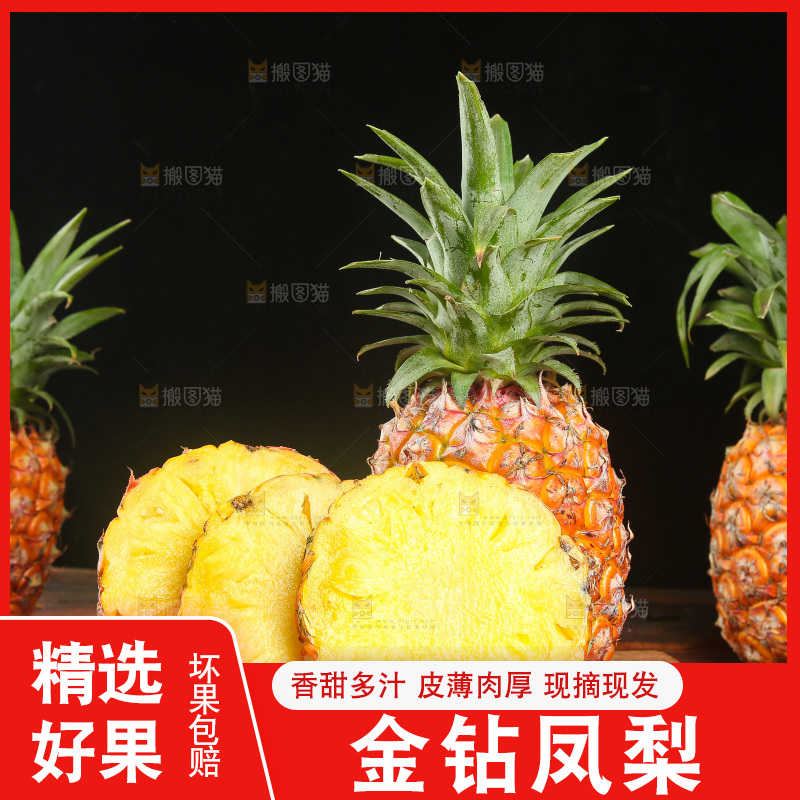 深底上的金钻凤梨