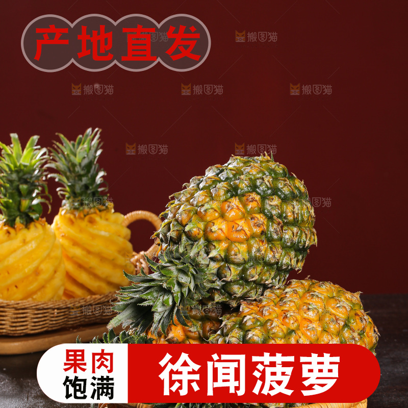 深底上的徐闻菠萝