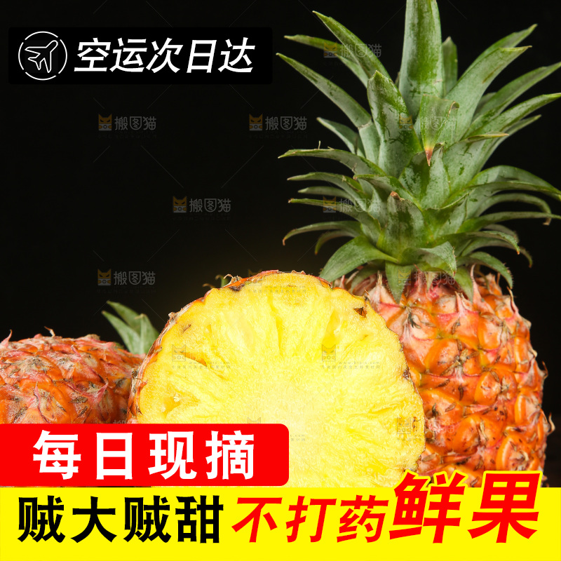 深底上的金钻凤梨