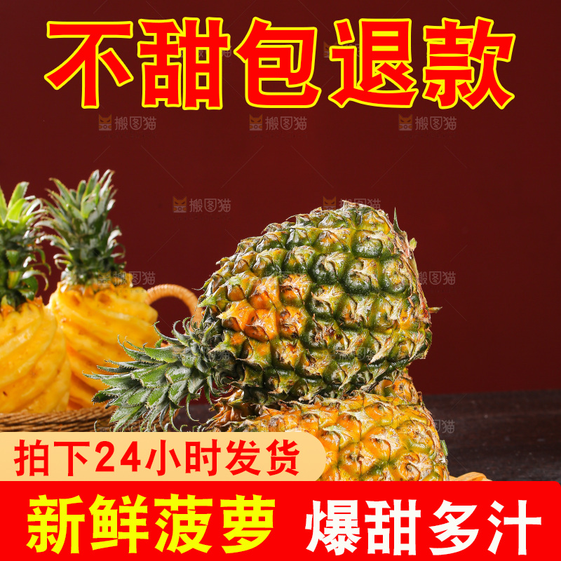 深底上的徐闻菠萝