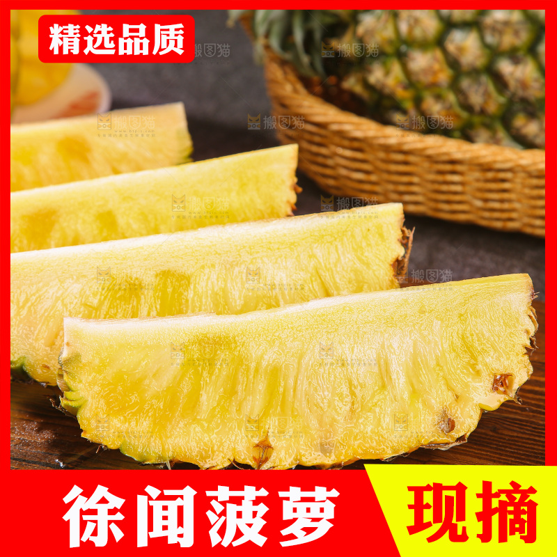 深底上的徐闻菠萝
