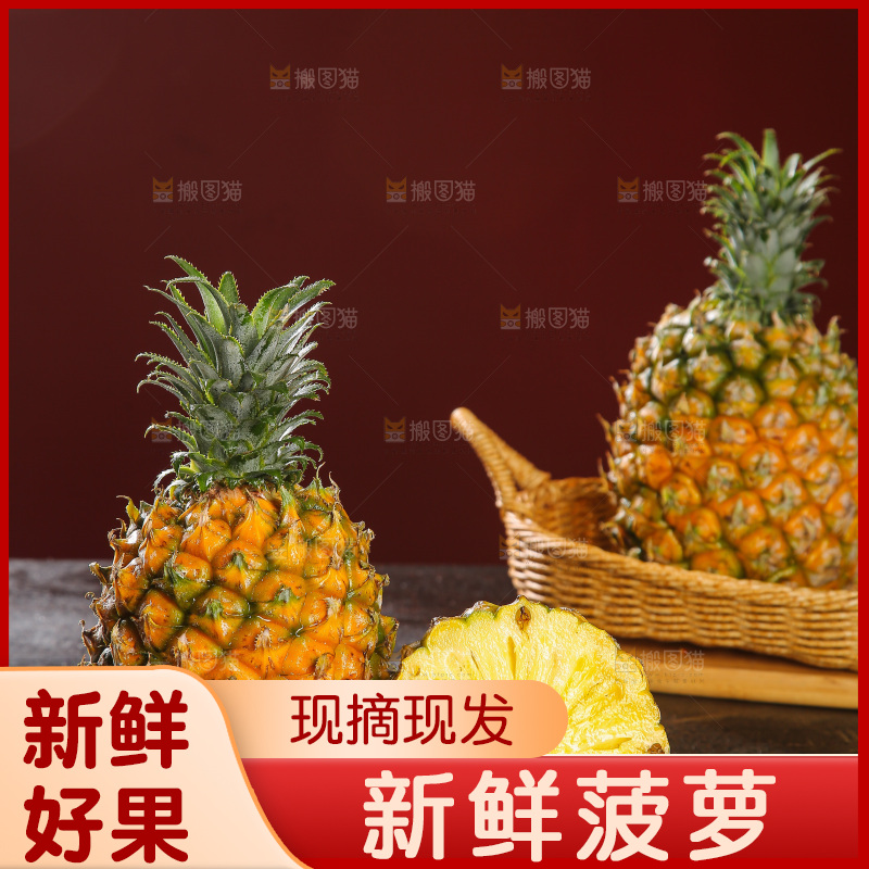 深底上的徐闻菠萝