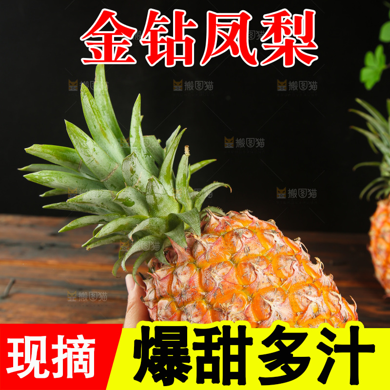 深底上的金钻凤梨