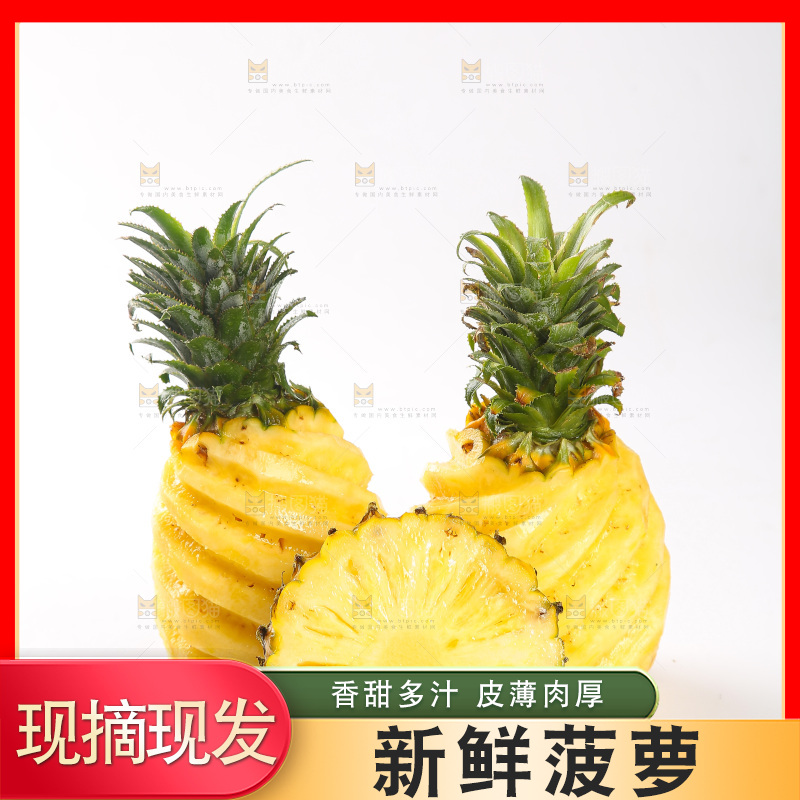 白底上的徐闻菠萝