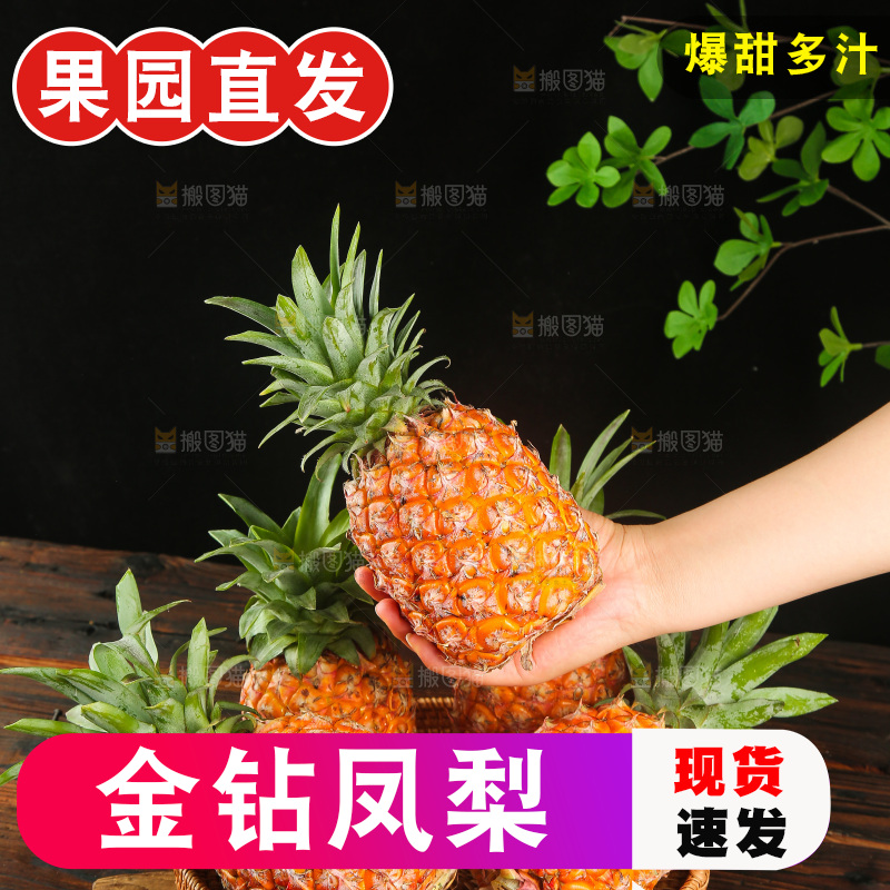 深底上的金钻凤梨