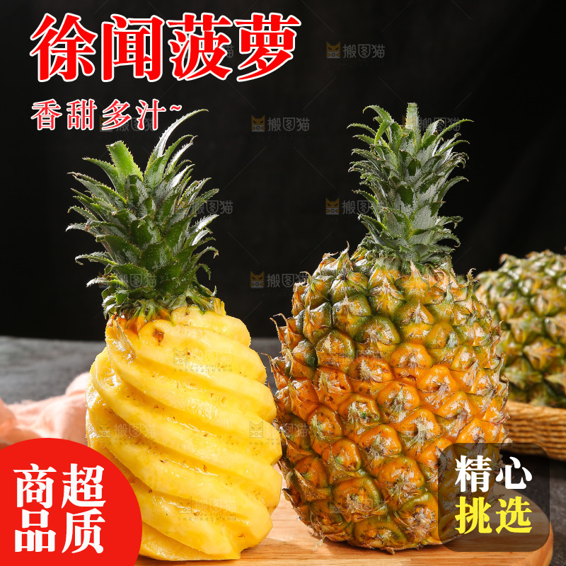 深底上的徐闻菠萝