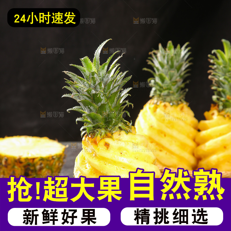 深底上的徐闻菠萝