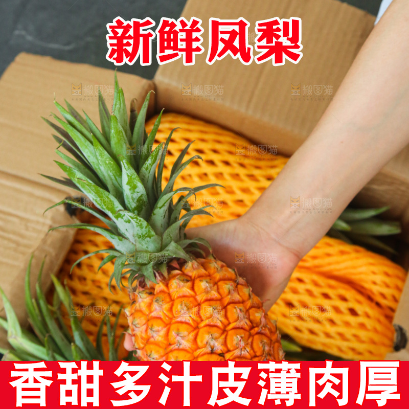 深底上的金钻凤梨