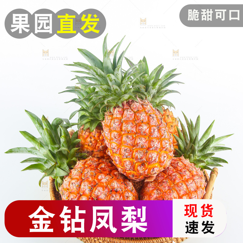 白底上的金钻凤梨