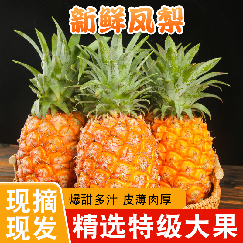 深底上的金钻凤梨