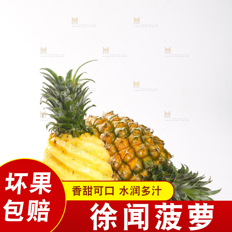 白底上的徐闻菠萝