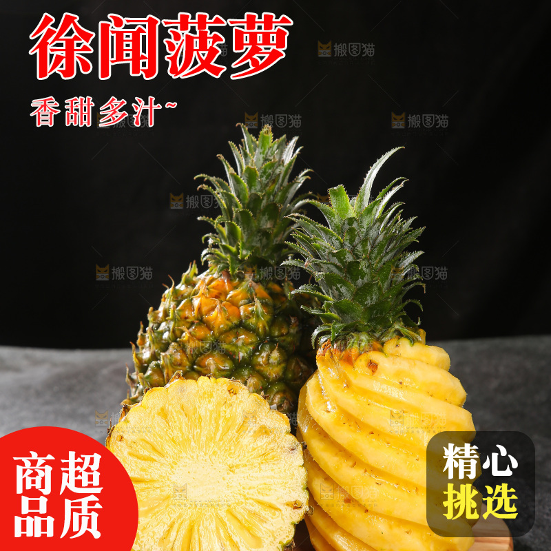 深底上的徐闻菠萝