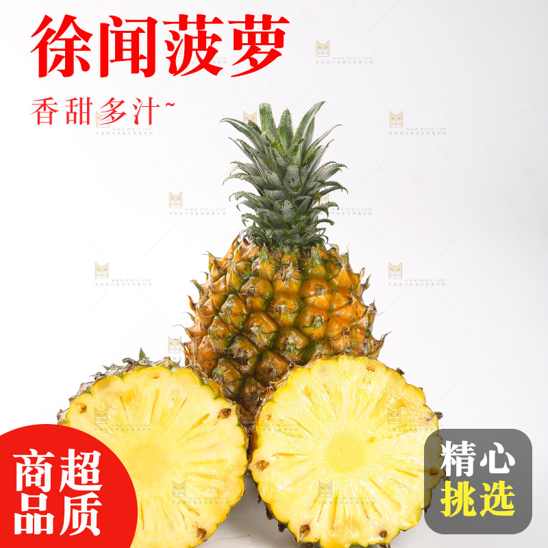 白底上的徐闻菠萝