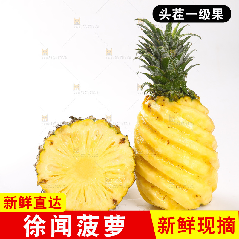 白底上的徐闻菠萝