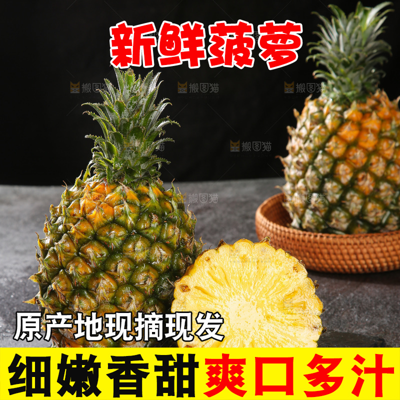 深底上的徐闻菠萝